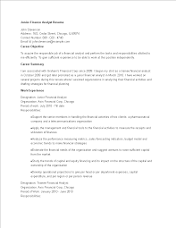 This will be done by first examining a client's financial situation, devising and presenting appropriate strategies, and keeping track of any shifts in his or her financial status and living situation. Junior Finance Analyst Resume Templates At Allbusinesstemplates Com