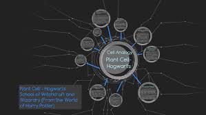 Use green peppers, green olives, or green onions for chloroplasts, but only in the plant cells! Cell Analogy Plant Cell Hogwarts School Of Witchcraft And Wizardry From The World Of Harry Potter By Lily Dungbombs