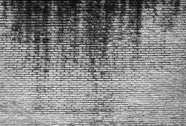 Now, listen to this great chillstep track and enjoy! White And Grey Brick Wall Texture Stock Image Colourbox