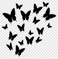 Butterflies Black Silhouette Shadow Outdoors Nature Gray Transparent Png Pngset Com