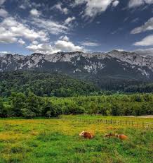 Sibiul, descris in cuvinte elogioase de un turist strain. 10 DestinaÅ£ii De Vizitat In Transilvania In ToamnÄ Autoboca Blog
