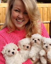 Name suggestions for maltese puppy?