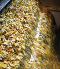 Elenchi ufficiali degli stabilimenti italiani riconosciuti ai sensi del reg. Produzione Dei Mangimi Dalle Tecniche Produttive Alle Materie Prime Dei Mangimi