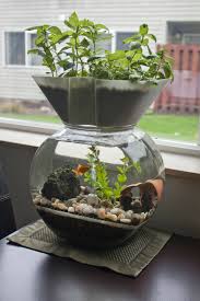 I Invented This The Goldfish Garden Self Cleaning Aquaponic Aquarium Indoor Aquaponics Indoor Water Garden Aquaponic Gardening
