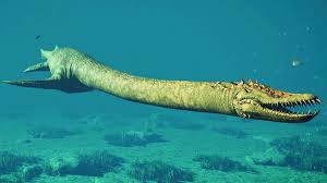 Image result for Elasmosaurus