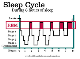 sleep center for health education wellness