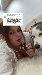 Respuesta a @mariadelpilartasc Como viajé con mi perrita de 35 kg en cabina  La agencia que me ayudó con los certificados es @Voolandojuntos Requisitos  para viajes en latinoamerica: •Certificado de ...