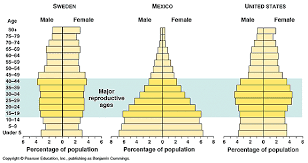 knicelybiology section 5 2