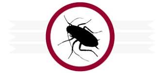 This video covers the general process and procedures of fumigations in california. Termite Inspection Pest Control Rodent Extermination San Diego