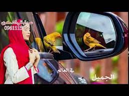 جديد ألفنأن محمد أبوحجأج2021 : Ø¬Ø¯ÙŠØ¯ Ø§Ù„ÙÙ†Ø§Ù† Ù…Ø­Ù…Ø¯ Ø§Ø¨ÙˆØ­Ø¬Ø§Ø¬ 2021 Youtube