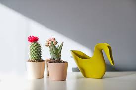Plant pals before and after. Garden Update Archives Fleet Hartley Wintney Odiham Mccarthy Holden Estate Agents