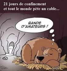 'do not touch that ball': Revivez Une Annee De Crise Du Covid 19 En 100 Blagues