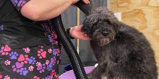 Pawsome Mobile Pet Grooming - Christchurch - Dog Groomer