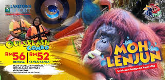 Orang utan island, a must visit experience · purchase online now to save more! Moh Lenjun Orangutan Island Splash Combo Promo Bukit Merah Laketown Resort Peatix