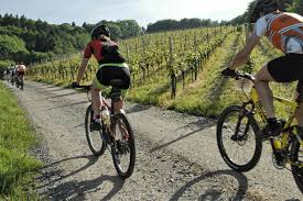 Erleben Mit Bildern Sport Schwarzwald Online