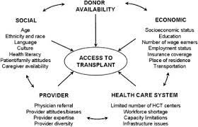 Start your free online quote and save $536! Access To Hematopoietic Cell Transplantation In The United States Sciencedirect