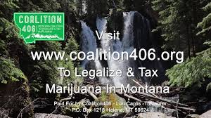 Who S Positioned To Gain From Adult Use Marijuana Legalization