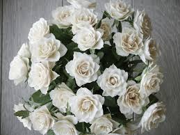 صور بوكيه ورد أبيض أجمل صور بوكيهات باقات الورد الأبيض روزبيديا