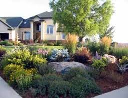 Which front yard no grass landscape design do you like? Pin By Sonia On The Want To Be Gardener Xeriscape Front Yard Xeriscape Landscaping Front Yard Landscaping