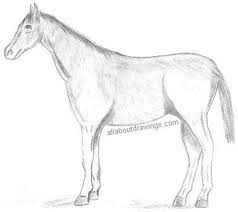 We did not find results for: Simple Pencil Horse Drawings