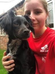 Danielle Lloyd is fundraising for Bristol Animal Rescue Centre (Bristol  A.R.C.)