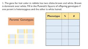 Rather than one or the other, hair color is additive, meaning the pigment melanin along with a variety of genes determines how dark your hair will be. Answered The Gene For Hair Color In Rabbits Has Bartleby