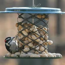 Tranquility Window Tray Bird Feeder Bird Feeders Peanut Bird Feeder Wild Birds