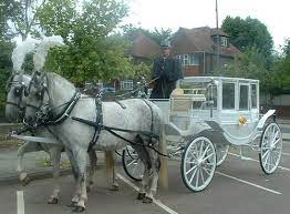 Call Steve On 07798 895918 To Hire Our Beautiful White Indian Wedding Horsedrawn Carriage For Indian Weddings Anywhere In T Horses Horse Wedding Horse Carriage