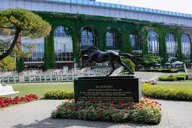 2014 belmont stakes triple crown winning trips and down