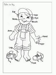 39+ human body coloring pages for printing and coloring. Pin On Educational Coloring Pages