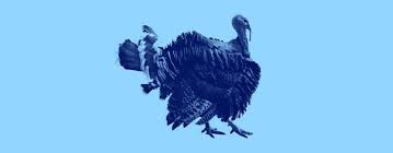 The turkey drippings may be used to prepare a gravy by placing a metal pan under the turkey inside the roasting pan, and mixing in about 1/2 cup water, adding more water as necessary to prevent the drippings from scorching. Which Turkey Came First The Bird Or The Nation Dictionary Com