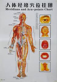 Trigger Points Chart Massage Reflexology Chart Laminated