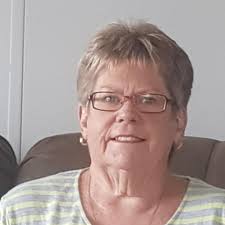 Free Shredded Paper Available in Pukekohe for Pet Shop or Other Uses