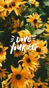 Read more aesthetic sunflower wallpaper with bible verses : Pansexual Pride Aesthetic Lgbtq Pans Quotes Subtle Pride Hd Mobile Wallpaper Peakpx