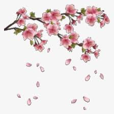 Maybe you would like to learn more about one of these? Overlay And Png Image Aesthetic Cherry Blossom Tree Background Transparent Png Transparent Png Image Pngitem
