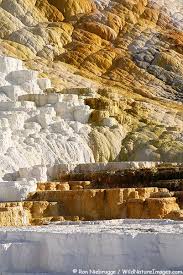 Yellowstone Trip Mammoth Hot Springs I Ve Never Seen This Hot Springs With Water In It It Dries Up Yellowstone Trip Yellowstone National Park National Parks