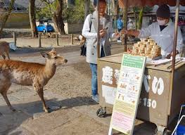 From scare tape to cannons to netting, we have the pest control solution for you. Cleanup Of Plastic Bag Litter In Nara Aims To Protect Deer