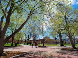 We make your outdoor vision a reality. Colorado Springs Floating Big Ideas With 2 Million Investment For Downtown Parks Colorado Springs News Gazette Com
