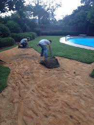 A soil test confirms the amount of fertilizer. How Should I Care For My New Sod Father And Son Pest And Lawn Solutions