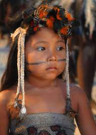 Indigenous peoples are distinct social and cultural groups that share collective ancestral ties to the lands and natural resources where they live, occupy or from which they have been displaced. Indigenous Peoples In Brazil Wikipedia