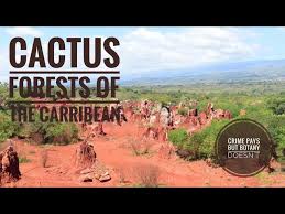 It's geological and paleontological resources provide insight into climatic history and biological diversity during the eocene/oligocene periods. Cactus Forests Of The Carribean And Cyclura Ricordii Youtube