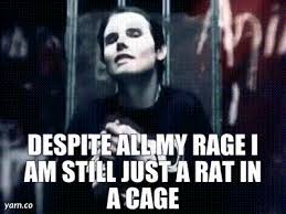 YARN | despite all my rage i am still just a rat in a cage | The Smashing Pumpkins - Bullet with Butterfly Wings | Video gifs by quotes | c6e34f6f | 紗