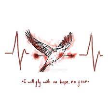 Birds Lyrics Imagine Dragons Meaning Isle Of Flightless Birds By Wolfscribbles Isle Of Flightless Birds Flightless Bird Top Lyrics