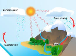 Water Cycle Chart For Class 3 Www Bedowntowndaytona Com