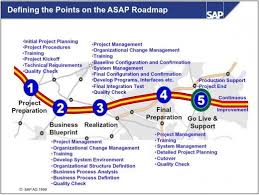 What Is The Sap Software System Organizational Management Change Management Software Development Life Cycle