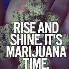 We did not find results for: Wake And Bake