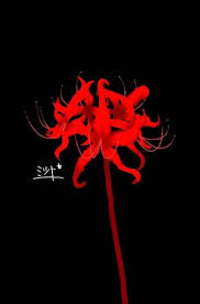 Maybe you would like to learn more about one of these? 29 Ideas Wallpaper Iphone Anime Tokyo Ghoul Wallpapers For 2019 Tokyo Ghoul Wallpapers Tokyo Ghoul Tokyo Ghoul Flower