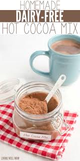 How To Make Dairy Free Hot Chocolate Mix Easy 3 Ingredients Vegan Recipe In 2020 Dairy Free Hot Chocolate Homemade Hot Cocoa Hot Chocolate Mix Recipe