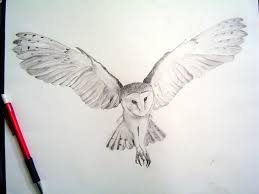 Bird With Wings Spread Drawing Barn Owl Tattoos Barn Owl Tattoo Owl Tattoo Design Owls Drawing
