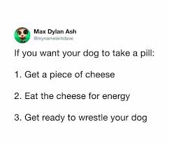 It's not for every owner, or every dog and it could go south quickly; Dopl3r Com Memes Max Dylan Ash Mynameisntdave If You Want Your Dog To Take A Pill 1 Get A Piece Of Cheese 2 Eat The Cheese For Energy 3 Get Ready